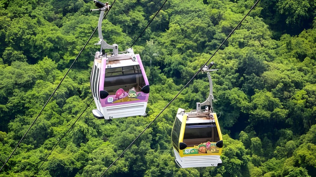 Enlightening and fun trio - Maokong Gondola + Taipei Zoo + National Museum of Marine Science and Technology 1-day tour Day Tours