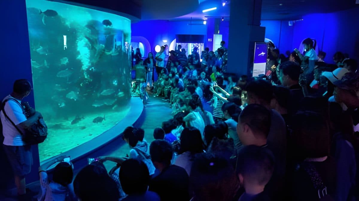 Penghu Aquarium