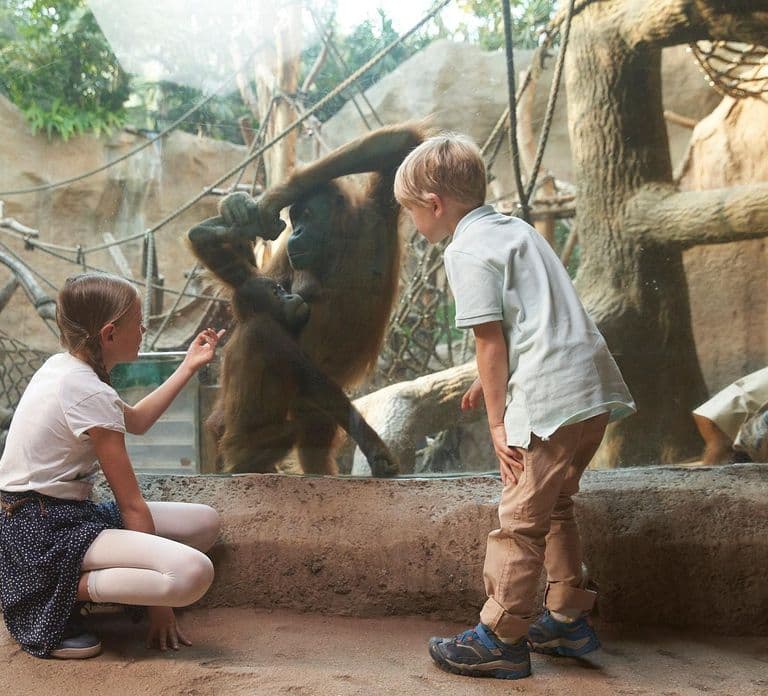 Leipzig Zoo: 입장권