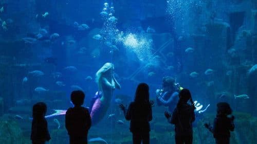 Go City: Paris Explorer Pass (Discover over 10 top attractions | Eiffel Tower Climb, Seine River Cruise & more)