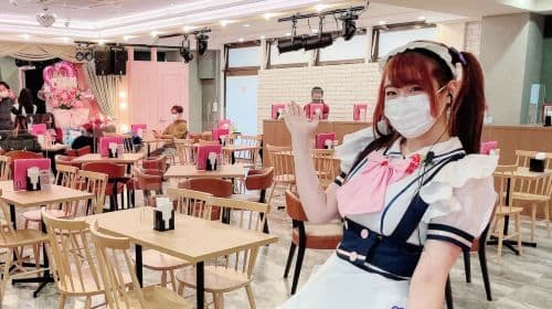 Have fun in Akihabara! Anime, video games and maid cafe one-day tour