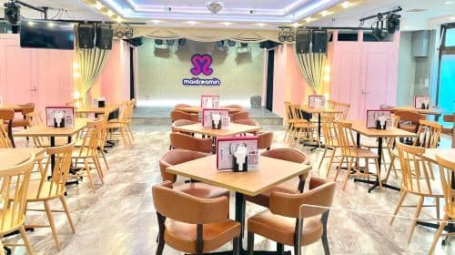 Have fun in Akihabara! Anime, video games and maid cafe one-day tour