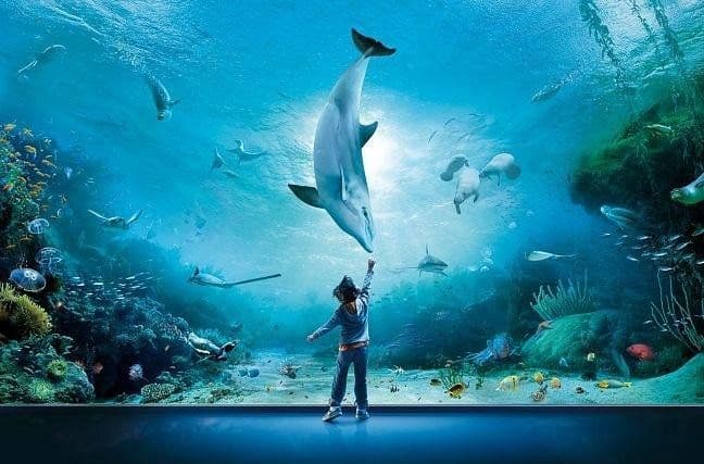 Aquarium of Genoa: Skip The Line Ticket