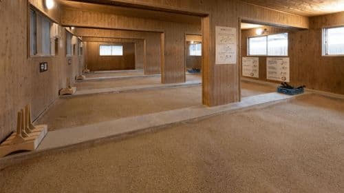 Kyushu Beppu Hot Spring Tour: 1-day tour of Dazaifu + Yufuin + Umi Jigoku + Hyotan Onsen Day Tours