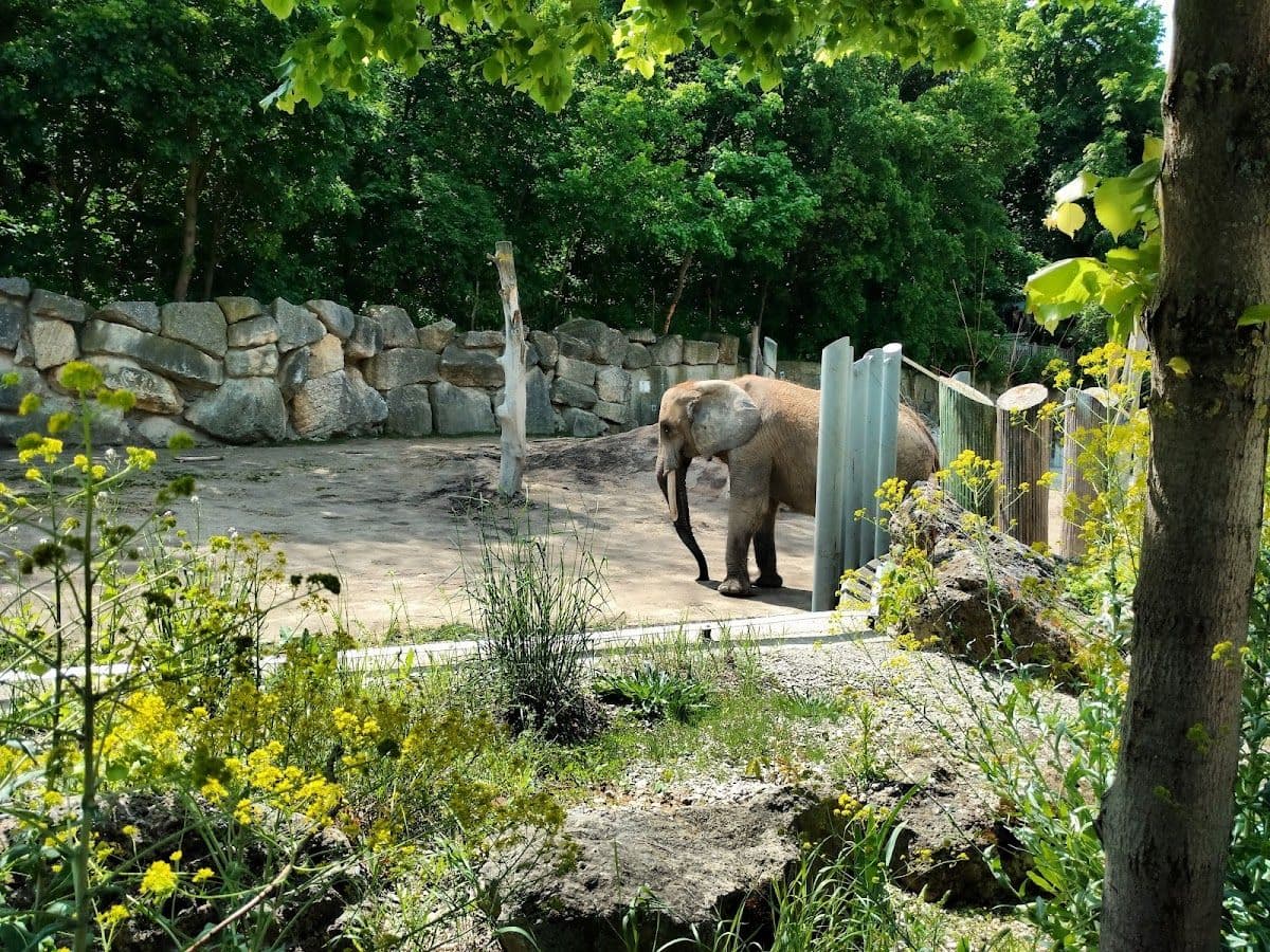 Schönbrunn Zoo: Skip The Line Admission Ticket