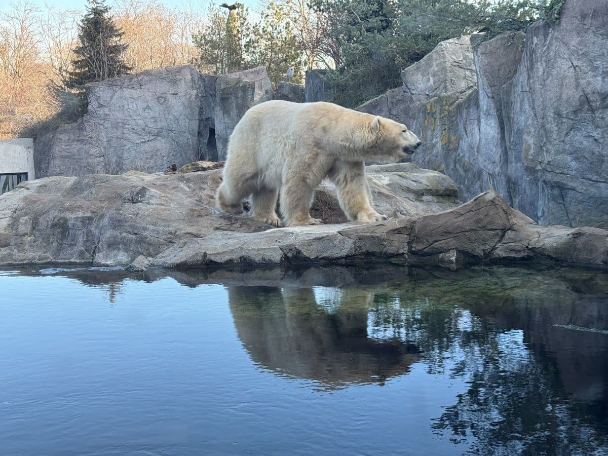 Schönbrunn Zoo: Skip The Line Admission Ticket