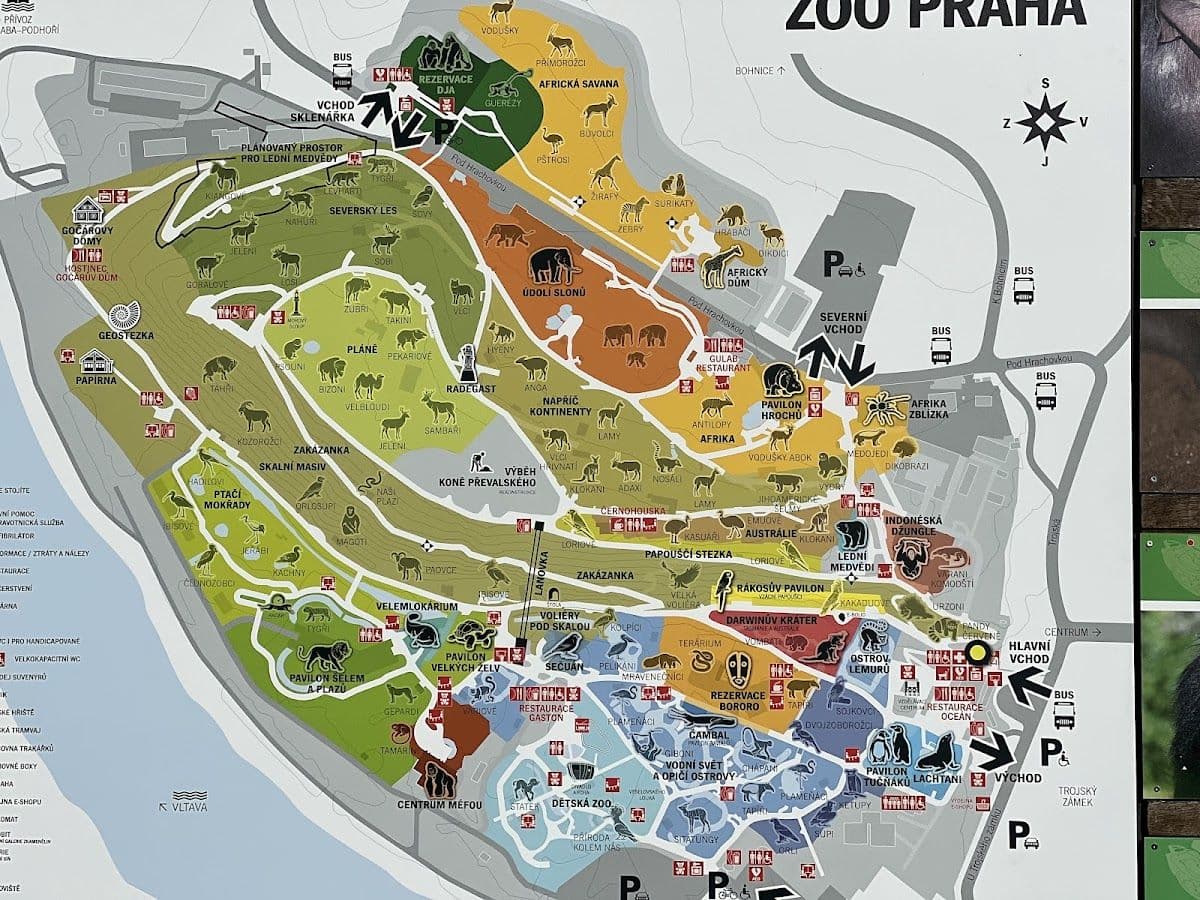 Prague Zoo Admission Ticket with The Cruise Boat Transfer