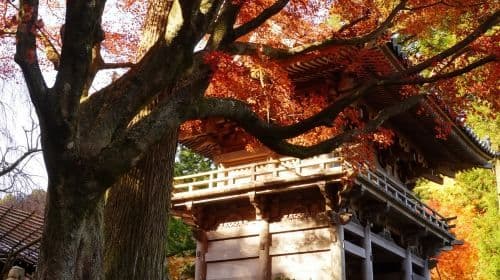 Hayao Miyazaki Anime Pilgrimage