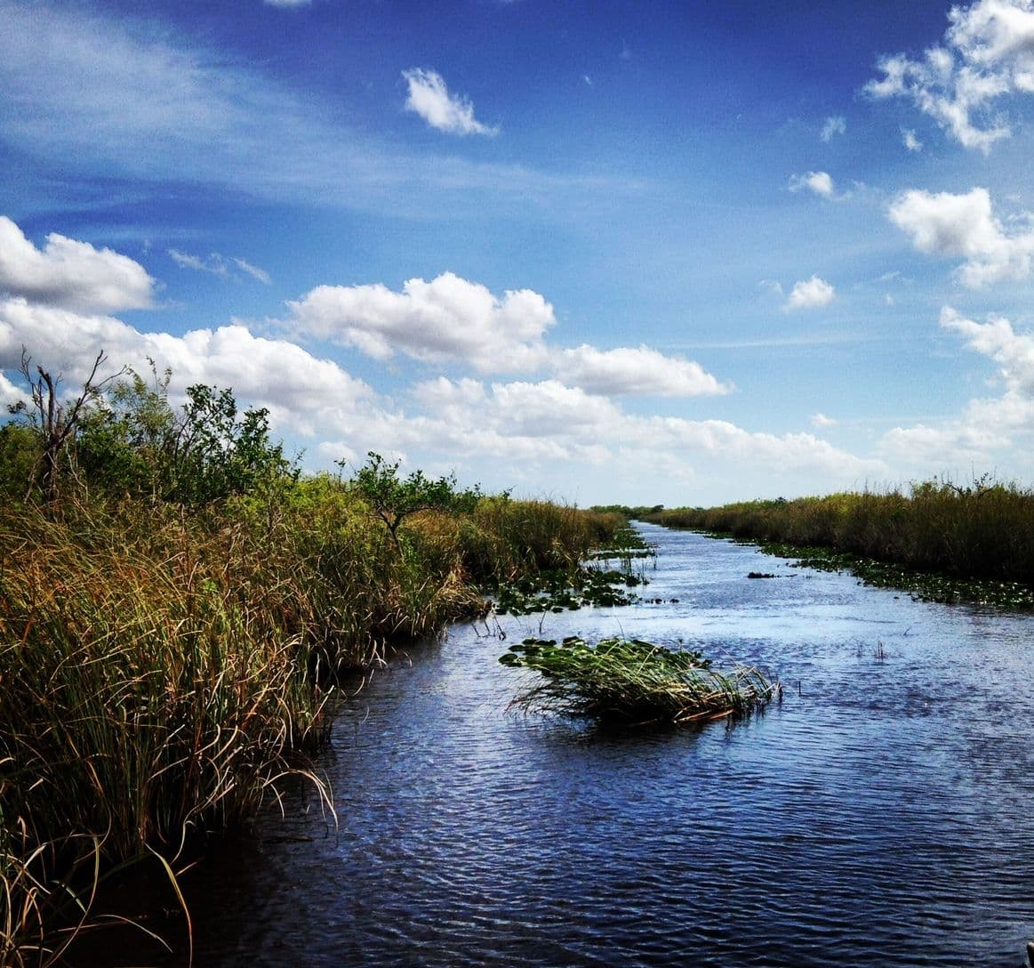 Everglades tour from Miami