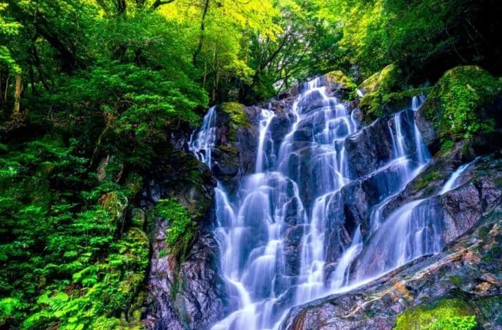 Hidden Gems of Itoshima One Day Tour