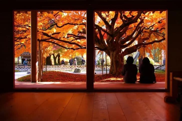 Hidden Gems of Itoshima One Day Tour