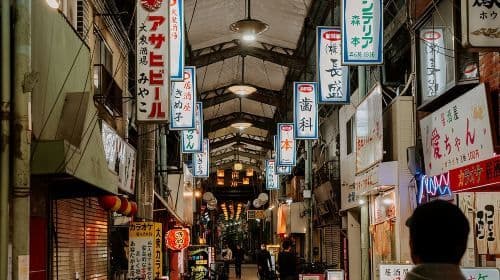 Hidden Osaka - Yukaku Red Light Tour & Culinary Adventure Day Tours