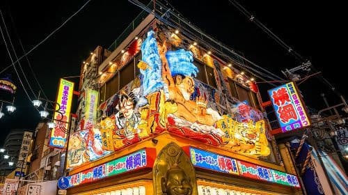 Hidden Osaka - Yukaku Red Light Tour & Culinary Adventure Day Tours