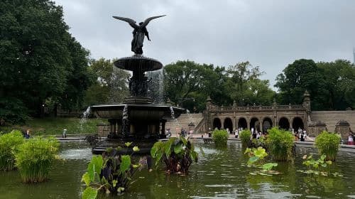 Upper East Side NYC 建筑徒步之旅一日游