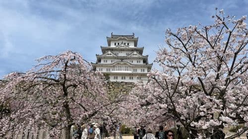 Himeji: visit the castle and Engyoji temple from Osaka Day Tours