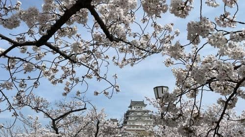 Himeji: visit the castle and Engyoji temple from Osaka Day Tours