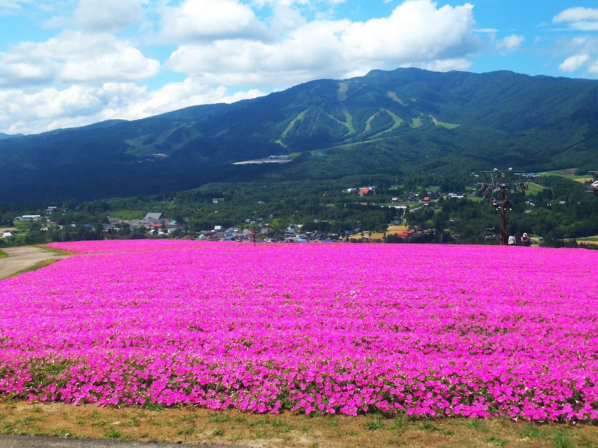 Hirugano plateau
