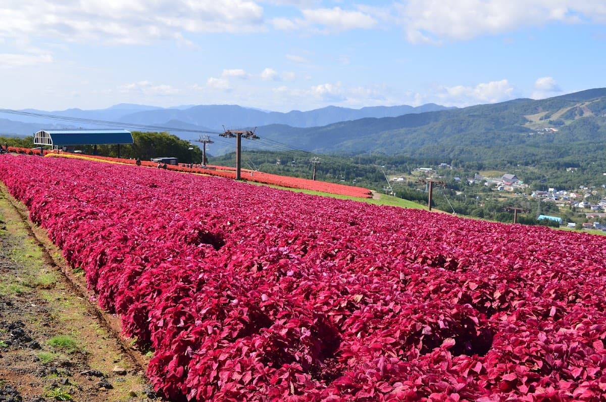 Hirugano plateau