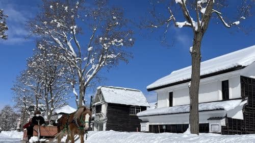Historical Village of Hokkaido