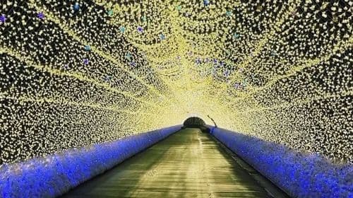 Hitachi Seaside Park + Ashikaga Flower Park: 3 migliori spettacoli di luci del Giappone - Garden of Illuminated Flowers
