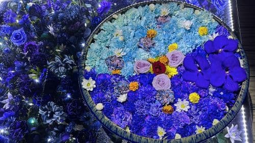 Hitachi Seaside Park + Ashikaga Flower Park: 3 migliori spettacoli di luci del Giappone - Garden of Illuminated Flowers