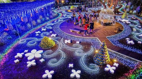 Hitachi Seaside Park + Ashikaga Flower Park: 3 migliori spettacoli di luci del Giappone - Garden of Illuminated Flowers