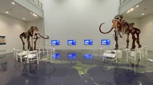 Hokkaido Museum Hokkaido Museum General