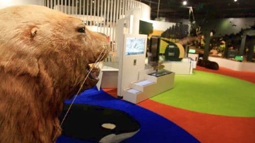 Hokkaido Museum Hokkaido Museum General