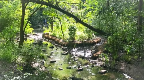 New York City: Secret Places of Central Park Walking Tour Day Tours