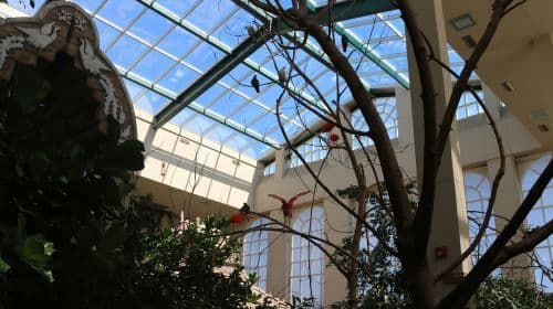 Niagara Falls, Canadá: Entradas para Bird Kingdom y tours de un día