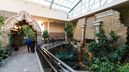 Niagara Falls, Canadá: Entradas para Bird Kingdom y tours de un día