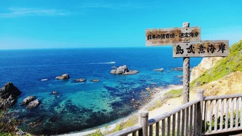 Hokkaido Coastline | Shakotan Cape Kamui + Otaru + White Lover 1-Day Tour | Depart from Sapporo Day Tours