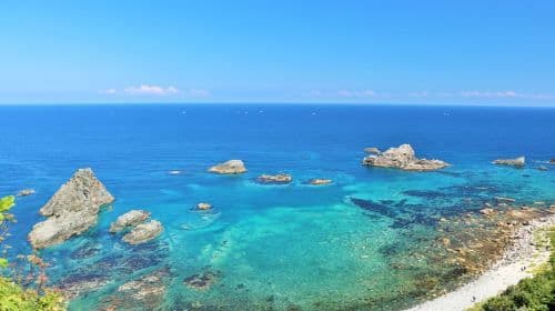 Hokkaido Coastline | Shakotan Cape Kamui + Otaru + White Lover 1-Day Tour | Depart from Sapporo Day Tours