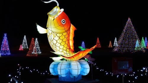 Niagara Falls Night Illumination Tour: Holiday Edition  Day Tours