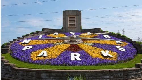 Niagara Falls one-day tour from Toronto, Canada (Including Boat Ride, Tour and Lunch) Day Tours