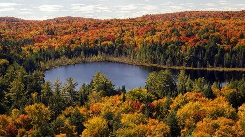 Niagara Falls Sightseeing Day Tour from Toronto Day Tours