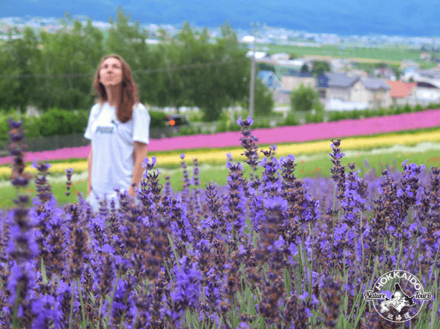 Hokkaido Day Tours