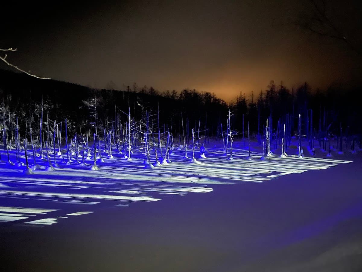 Hokkaido Day Tours