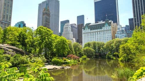 NYC: Privé Tour Geheimen van Central Park Dagtochten