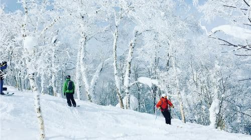 Hokkaido Rusutsu Ski Resort ski-/snowboardlessen (Engels gesproken) met optionele skipas