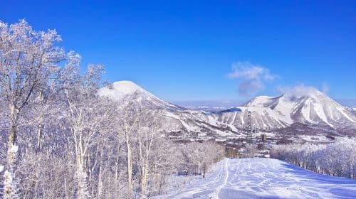 Hokkaido Rusutsu Ski Resort スキー/スノーボードレッスン（英語指導）スキーパス追加オプション付き