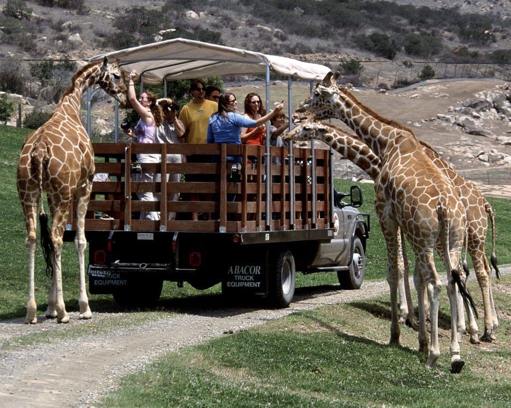 San Diego Zoo Admission Ticket Booking - Transportation Not Included Day Tours