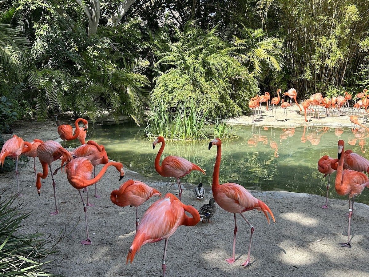 San Diego Zoo Admission Ticket Booking - Transportation Not Included Day Tours