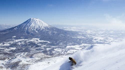 Hokkaido Ski bus| Niseko Ski Resort Area - New Chitose Airport (CTS) 셔틀버스 교통 패스