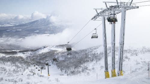 Hokkaido Ski bus| Niseko Ski Resort Area - New Chitose Airport (CTS) 셔틀버스 교통 패스