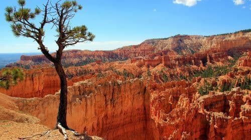 Excursión de 1 día al Parque Nacional Bryce Canyon y al Parque Nacional Zion con almuerzo desde Las Vegas