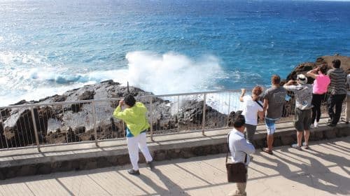 Circle Island: Swim with Turtles and Explore Paradise Oahu Day Tours
