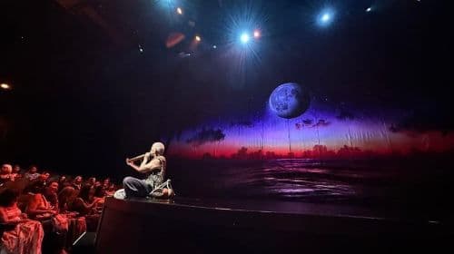 Cirque du Soleil Auana in Waikiki Dagtours