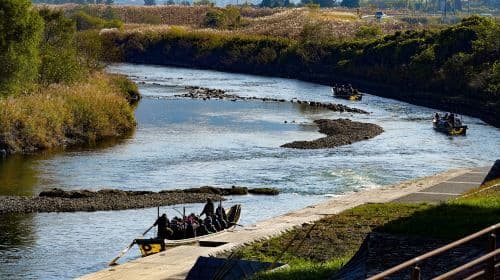 Hozugawa River Boat Ride (Hozugawa Kudari)