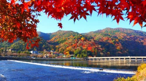 Passeios de Barco no Rio Hozugawa (Hozugawa Kudari)